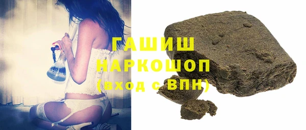 хмурый Алексин