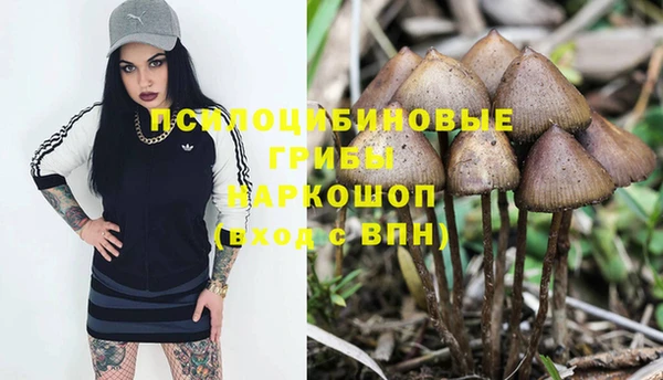 хмурый Алексин