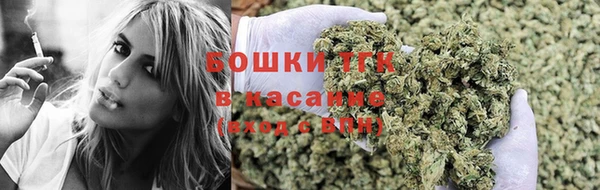 дмт Аркадак